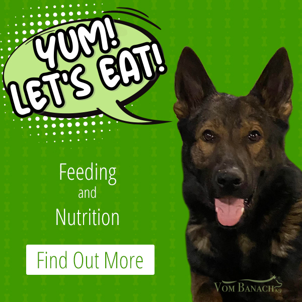 Feeding and Nutrition GSD call to action